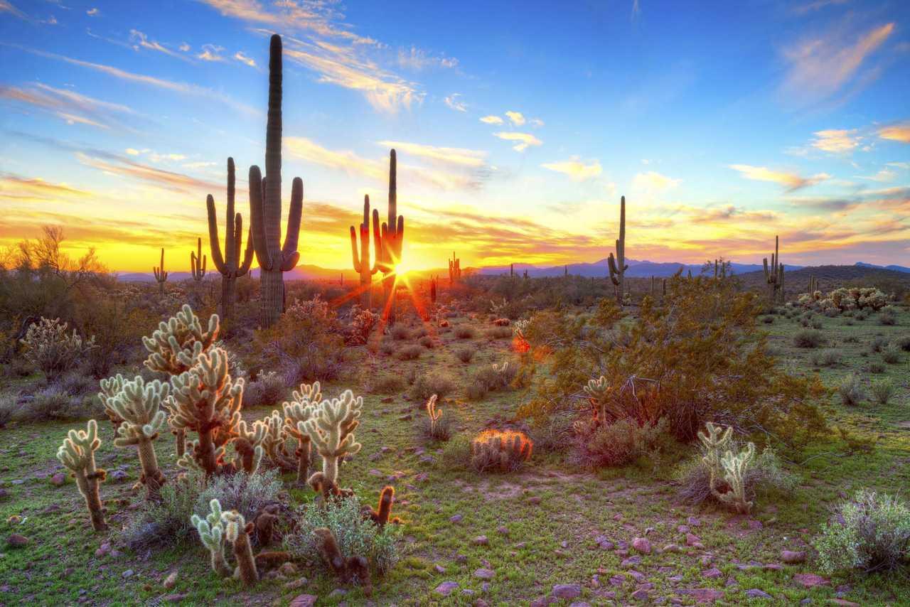 Cambria Hotel Phoenix - North Scottsdale Екстериор снимка