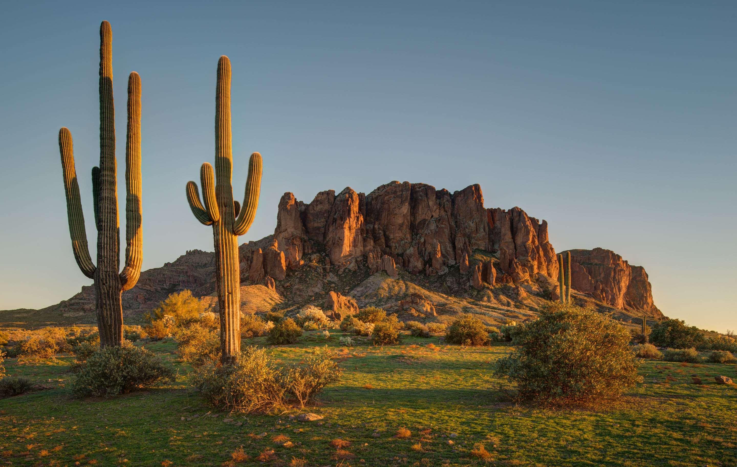 Cambria Hotel Phoenix - North Scottsdale Екстериор снимка